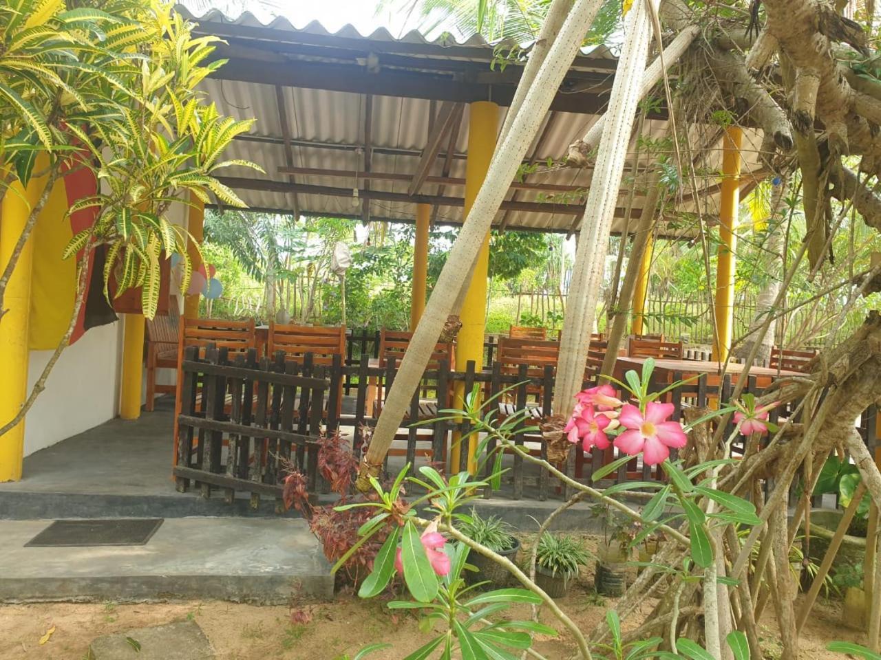 Beach Lagoon Guesthouse タンガラ エクステリア 写真